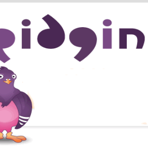 Pidgin